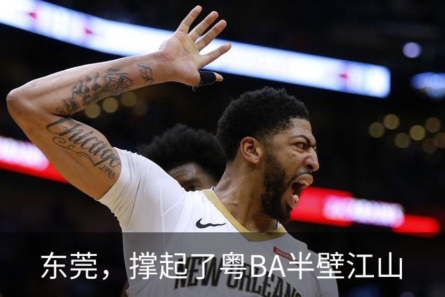 东莞，撑起了粤BA半壁江山